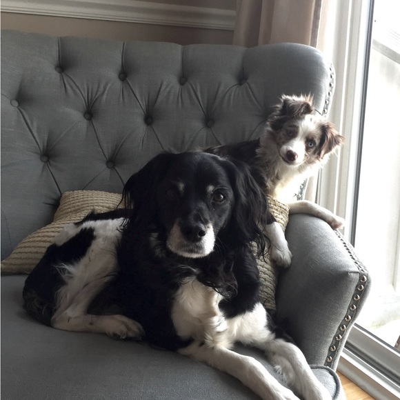 Meet your Posher, Alex - Picture 1 of 1